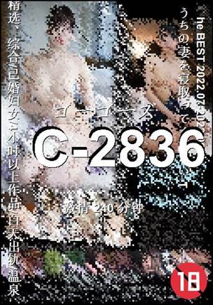 C-2836Ѹ