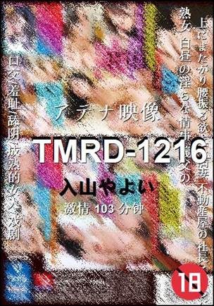 TMRD-1216Ѹ