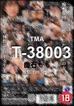 T-38003Ѹ