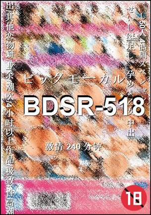 BDSR-518Ѹ