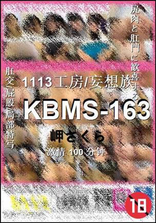 KBMS-163BT