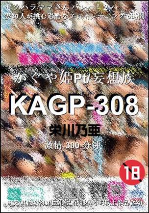 KAGP-308Ѹ