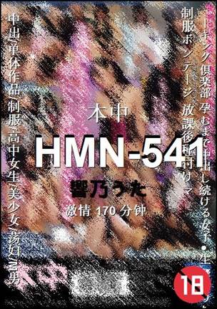 HMN-541Ѹ
