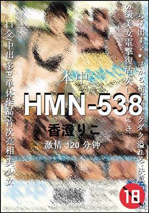 HMN-538Ѹ