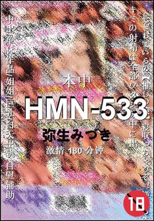 HMN-533Ѹ