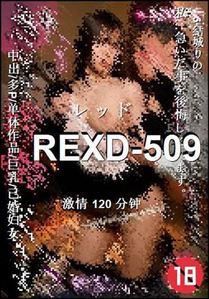 REXD-509BT
