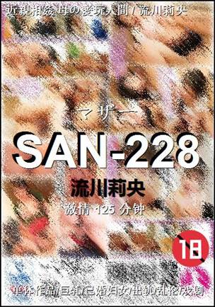 SAN-228Ѹ