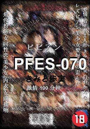 PFES-070Ѹ