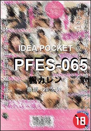 PFES-065Ѹ