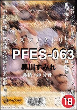 PFES-063BT