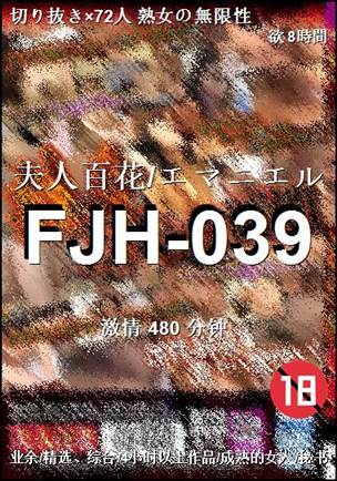 FJH-039Ѹ