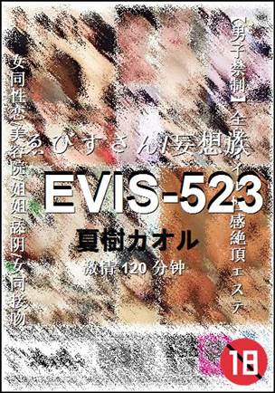 EVIS-523Ѹ