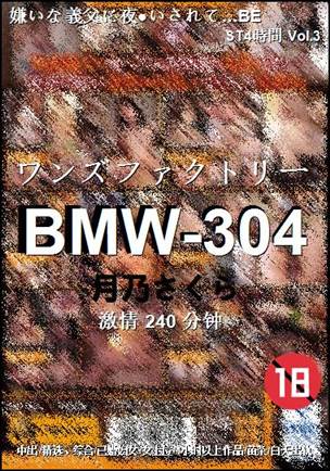 BMW-304Ѹ