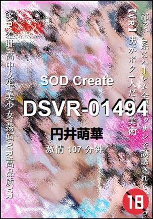 DSVR-01494BT