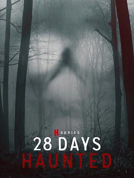 ֹʵ28Ѹ