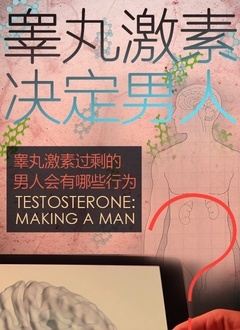 غ�輤�ؾ�������BT����