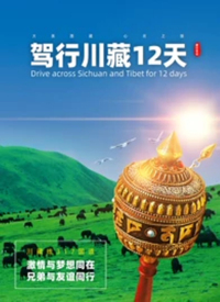 д12BT
