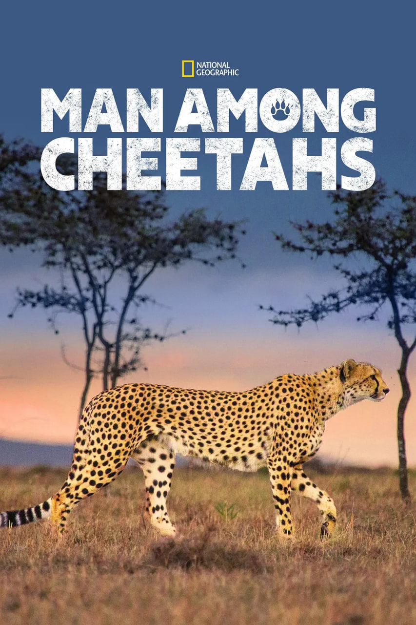 ΪĸǿѸ