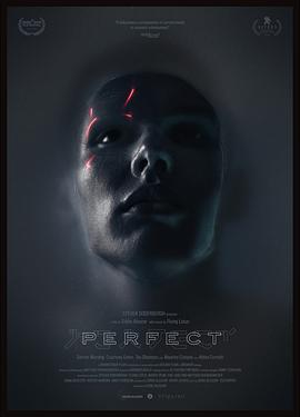 PerfectѸ