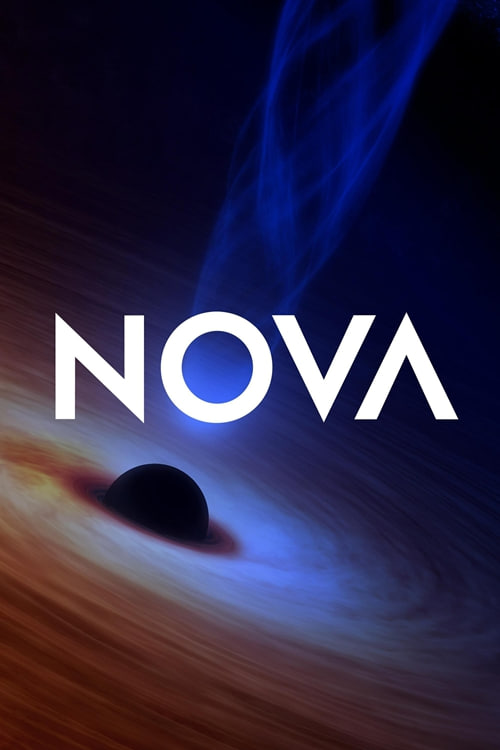  NOVAʮѸ