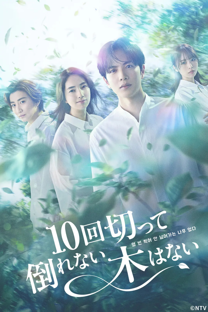 û�п�ʮ�λ���������BT����