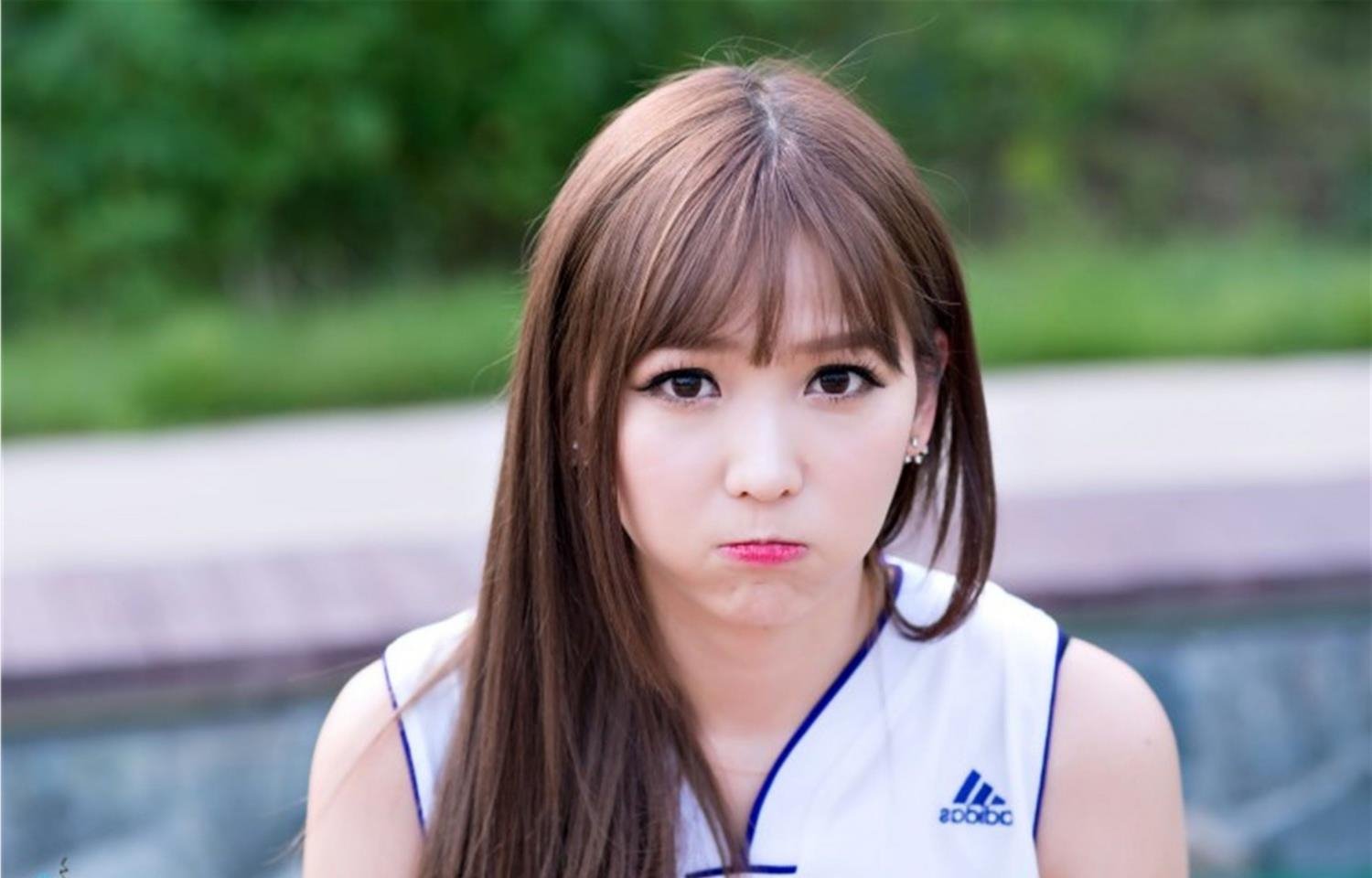 ��������մ��ϰ�����ƬͼBT����