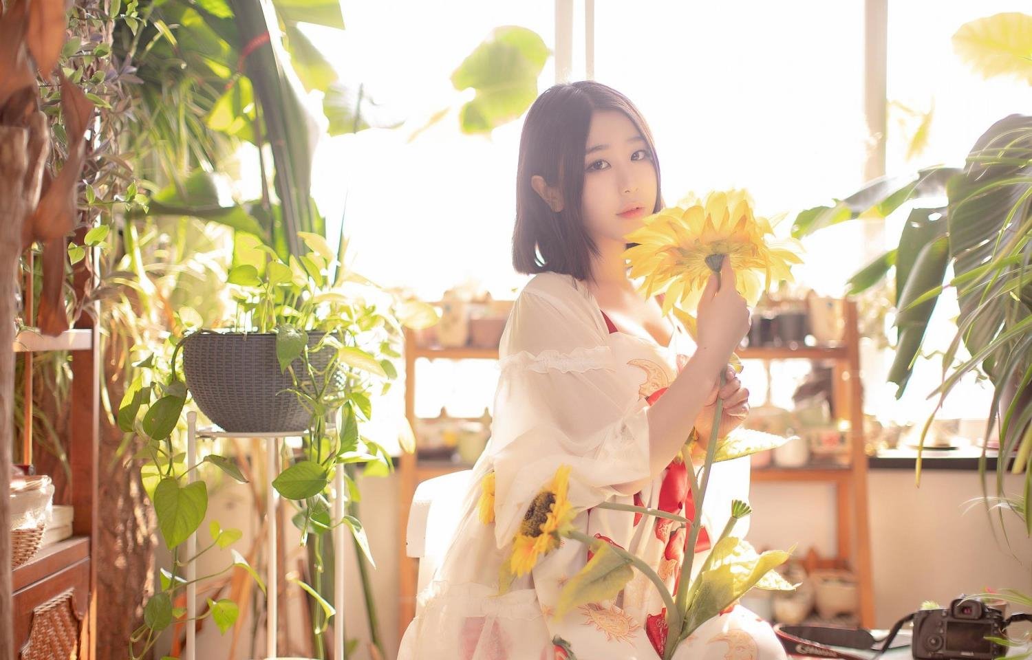 FREEZEFRAME�����ϸ�BT����