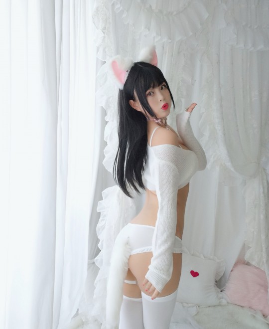 һ���˿���WWW������Ƶ����BT����