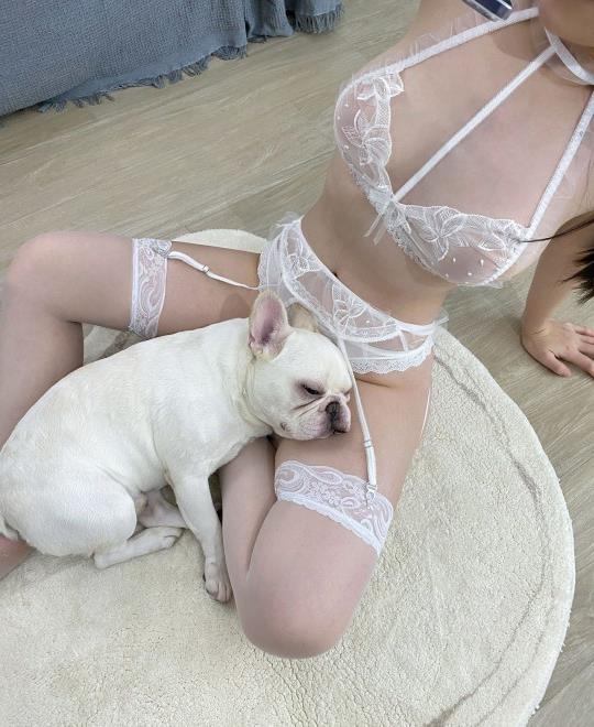 ŷ��������ƵBT����